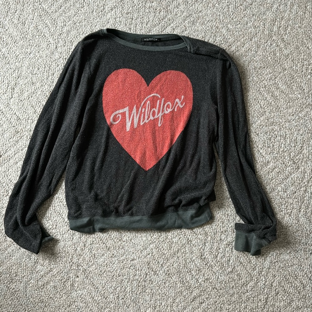 Wild fox